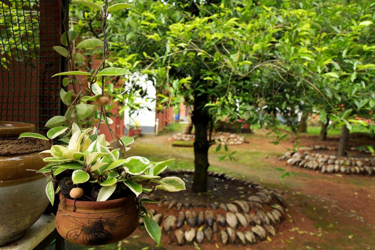 StayVista at La Riva Heritage Villa Alappuzha Eksteriør billede